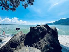 -月亮湾湿地公园