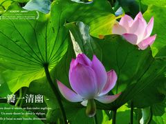 -四川大学(华西校区)