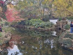 -秋霞圃