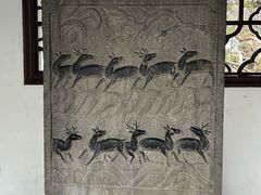 -上海醉白池公园