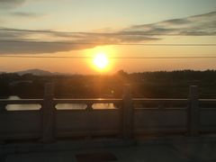 -大湾区中央湿地公园-十九涌