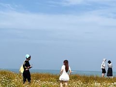 -巧克力渔家.小船海鲜胶东菜(三浴场店)