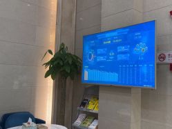 -碧莲盛·不剃发植发