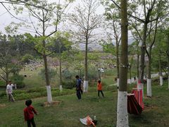 -火炉山森林公园