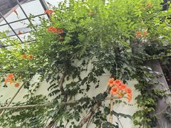 -香积寺