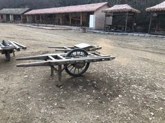 -千年银杏谷文化旅游区