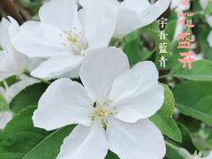 -海棠花溪(元大都城垣遗址公园)