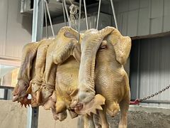 -赵老蒯土窑坑烤