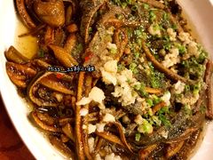 响油鳝丝-老大同酒家·糟卤·本帮菜(中山公园店)