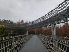 -福道