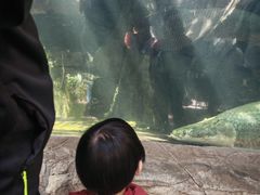 -青青世界