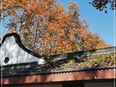 -莹珠阁·私房菜