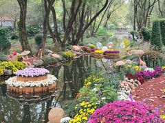 -上海共青森林公园