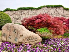 -嘉定紫藤园