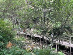 -茅兰沟国家森林公园
