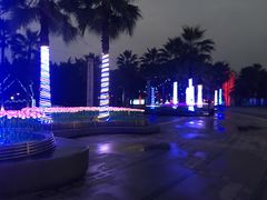 -棕榈MALL