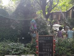 -林间山庄
