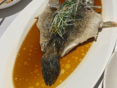 清蒸竹笋壳鱼-玫瑰厅上海菜(兴国路店)