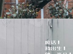 -红山森林动物园