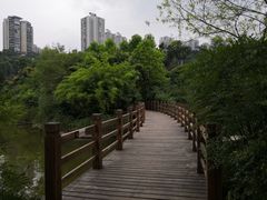 -龙头寺公园