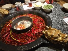 -蜀大侠火锅(建设路第五大道店)