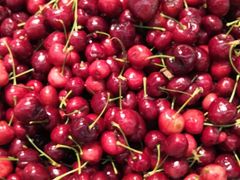 -岳砦海鲜农贸市场