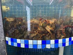 -指爱龙虾(金杨路总店)