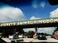 门面-奥兰多迪士尼动物王国乐园