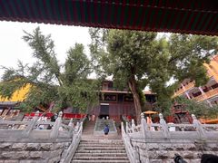 -宝通禅寺