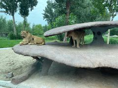 -北京野生动物园