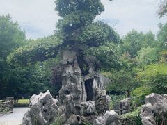 -水绘园