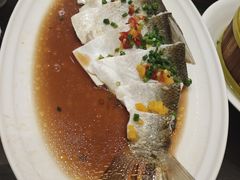 -湖北三五醇酒店·35年新楚菜