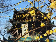 -西安化觉巷清真大寺