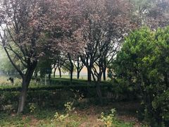 -汉景帝阳陵博物院