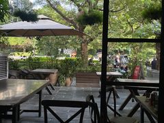 -缘生态云南菜·野生菌庭院餐厅(华侨城店)