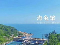 -广东惠东海龟国家级自然保护区