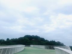 -飞凤山奥体公园