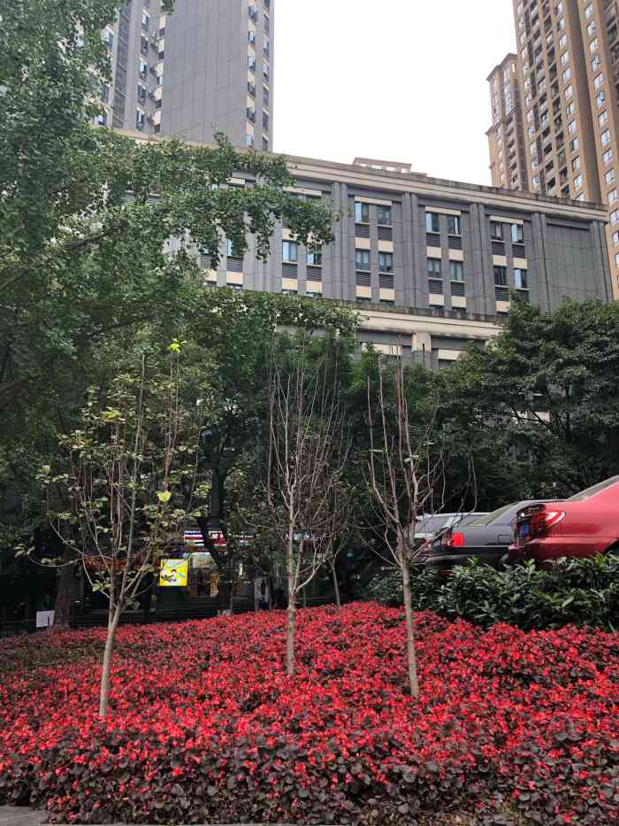 华新街西普(公交站)-"这里是华新街轻轨站1号出口出来的地方,天.