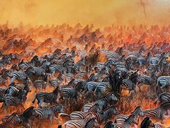 -罗红摄影艺术馆