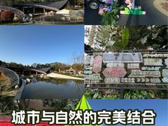 -九眼桥码头旧址