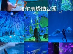 -哈尔滨极地公园