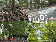 -西溪南古村落