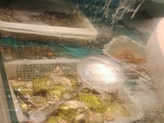 -大哈福烧烤·海鲜·家常菜(延安三路店)