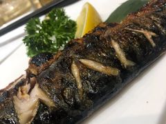 盐烧鲭花鱼-东京屋(武定路店)