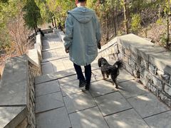 -四门塔风景区