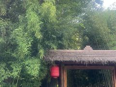 -新荣记(西溪湿地店)