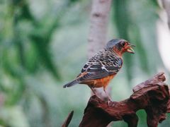 -苏州河梦清园环保主题公园