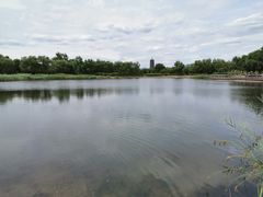 -永定河休闲森林公园