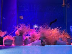 -石家庄海洋公园