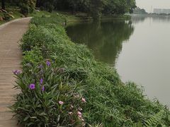 -南国桃园旅游度假区